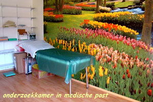 2010 oktober bulthuis onderzoek-kamer-in-de-medische-post.jpg